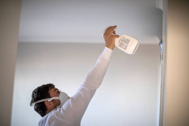 Best Commercial Mold Removal  in Westmont, IL