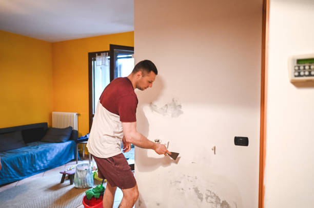 Mold Testing and Removal in Westmont, IL